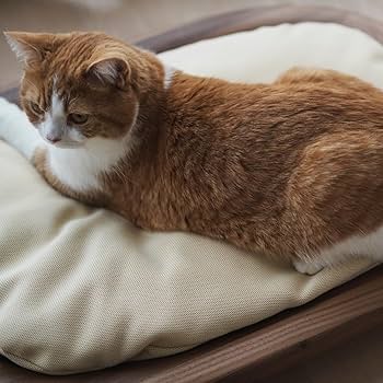 Amazon.co.jp: [カリモク家具] KARIMOKU CAT BED 猫 ベッド 木製